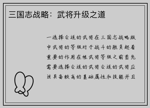 三国志战略：武将升级之道