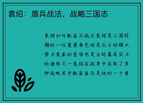 袁绍：盾兵战法，战略三国志